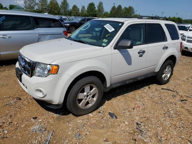 2012 Ford Escape XLT