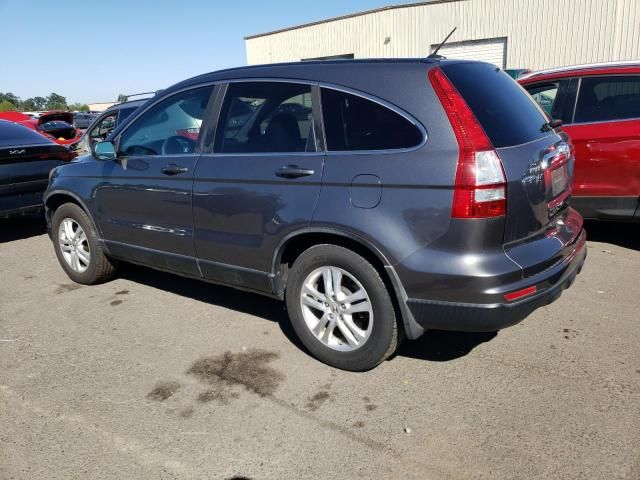 2010 Honda CR-V EXL