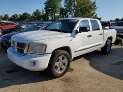 Salvage trucks for sale at Bridgeton, MO auction: 2011 Dodge Dakota Laramie