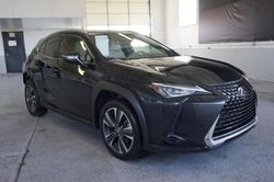 Cars Selling Today at auction: 2019 Lexus UX 200