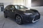 2019 Lexus UX 200