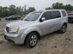 2013 Honda Pilot Exln