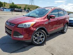 Salvage cars for sale at Littleton, CO auction: 2014 Ford Escape Titanium