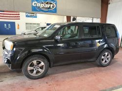 Honda salvage cars for sale: 2013 Honda Pilot EX