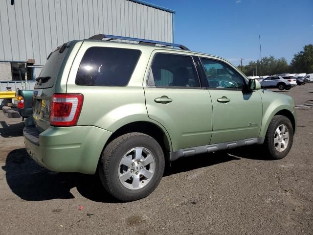 2010 Ford Escape Hybrid