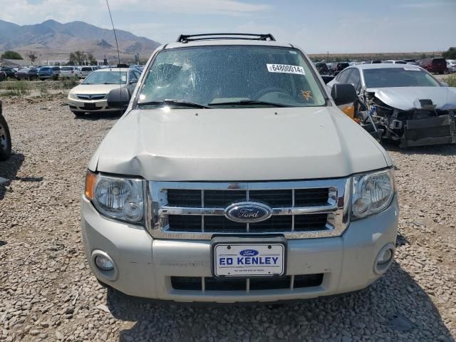 2008 Ford Escape XLT