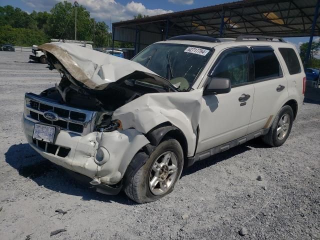 2010 Ford Escape XLT