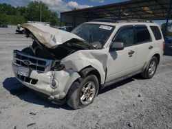 Ford salvage cars for sale: 2010 Ford Escape XLT