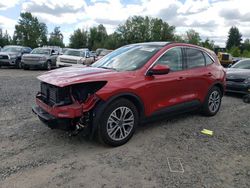 Salvage cars for sale at Portland, OR auction: 2022 Ford Escape SEL