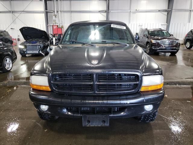 1999 Dodge Dakota