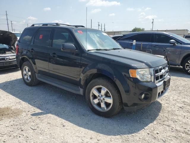 2012 Ford Escape Limited