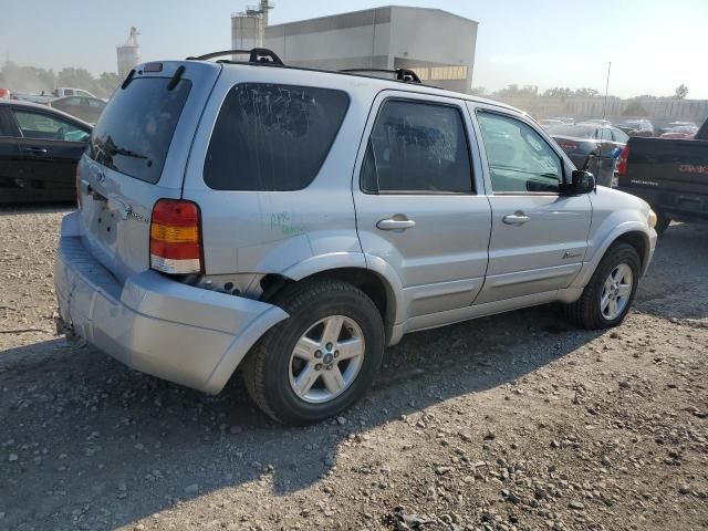 2006 Ford Escape HEV