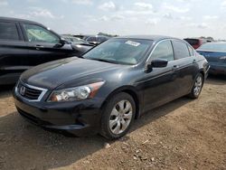 Honda salvage cars for sale: 2009 Honda Accord EXL