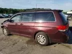 2010 Honda Odyssey EXL