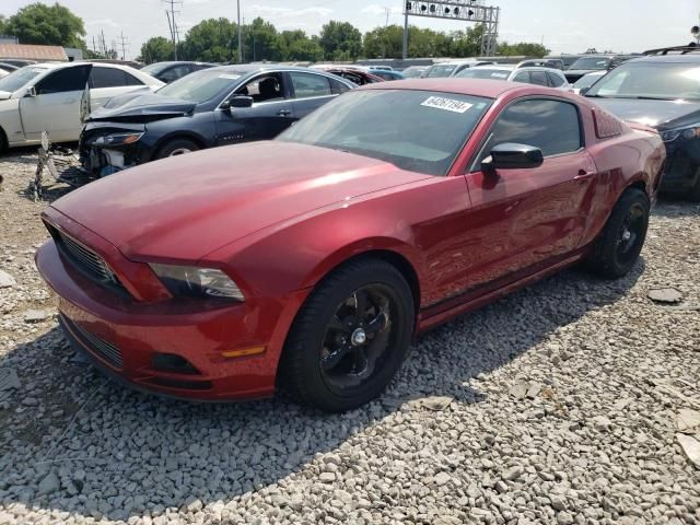 2014 Ford Mustang