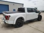 2019 Ford F150 Raptor