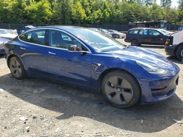 2020 Tesla Model 3