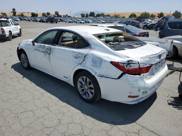 2014 Lexus ES 300H