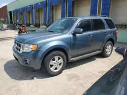 Ford Vehiculos salvage en venta: 2011 Ford Escape XLT