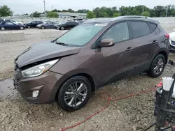 Salvage cars for sale at Louisville, KY auction: 2014 Hyundai Tucson GLS