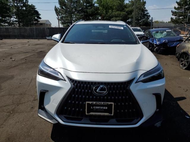 2023 Lexus NX 350H