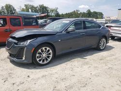 Salvage cars for sale at Spartanburg, SC auction: 2022 Cadillac CT5 Premium Luxury