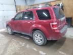 2010 Ford Escape Limited