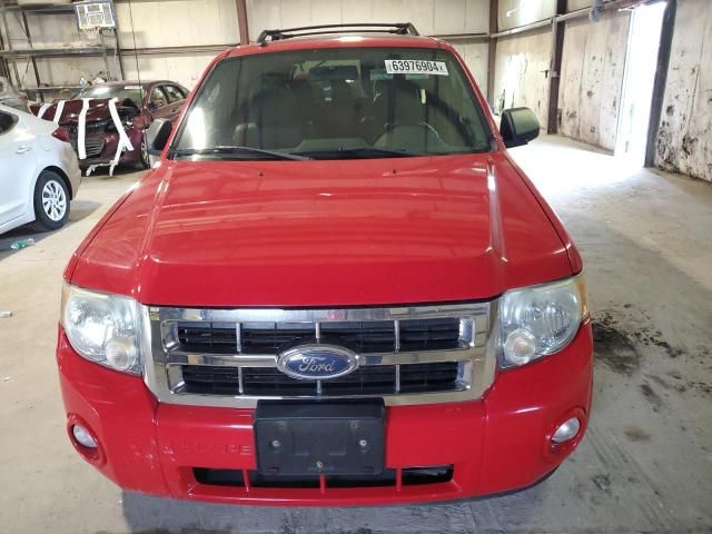 2009 Ford Escape XLT