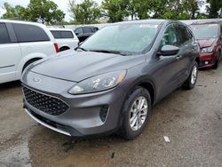 Salvage cars for sale from Copart Bridgeton, MO: 2021 Ford Escape SE