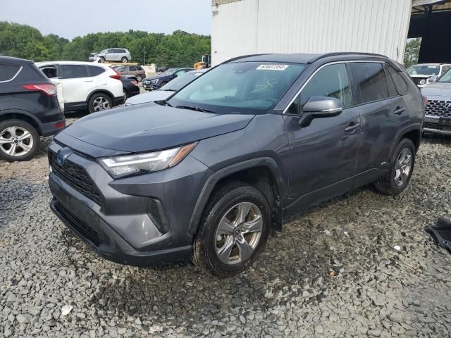 2024 Toyota Rav4 XLE