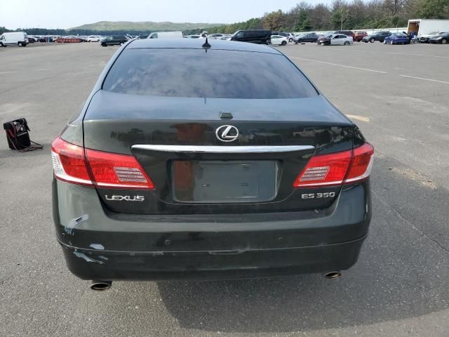 2010 Lexus ES 350