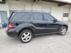 2008 Mercedes-Benz ML 350