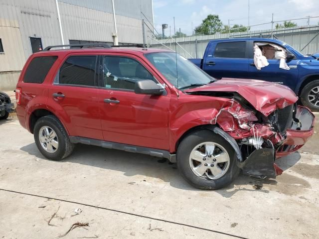 2011 Ford Escape XLT