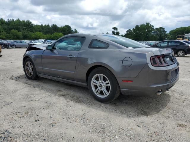 2013 Ford Mustang