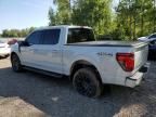 2024 Ford F150 XLT