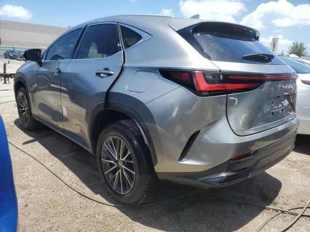 2023 Lexus NX 250