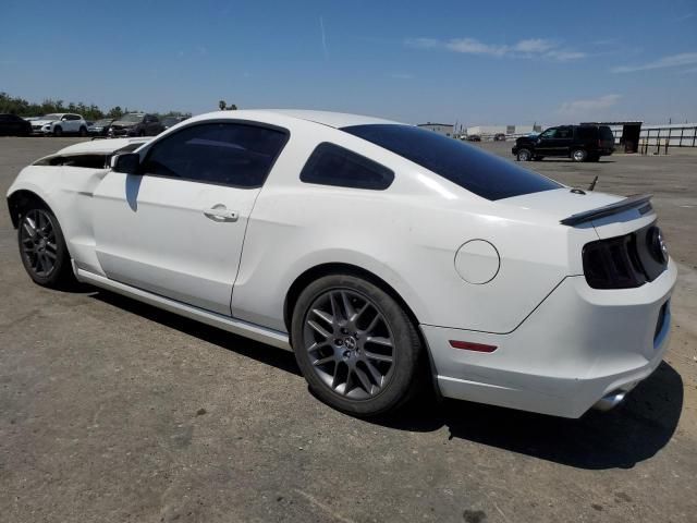 2013 Ford Mustang