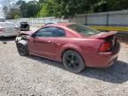 2004 Ford Mustang