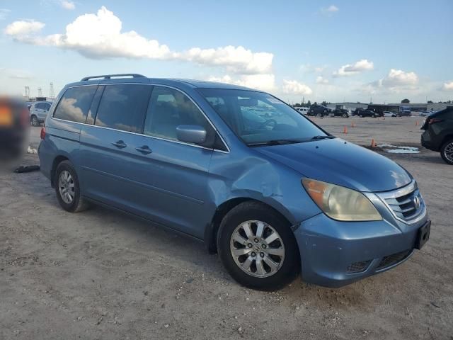 2008 Honda Odyssey EXL