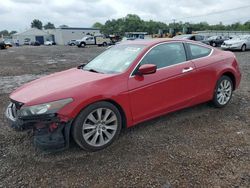 Salvage cars for sale at Hillsborough, NJ auction: 2010 Honda Accord EXL