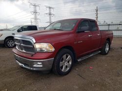 2010 Dodge RAM 1500 en venta en Elgin, IL