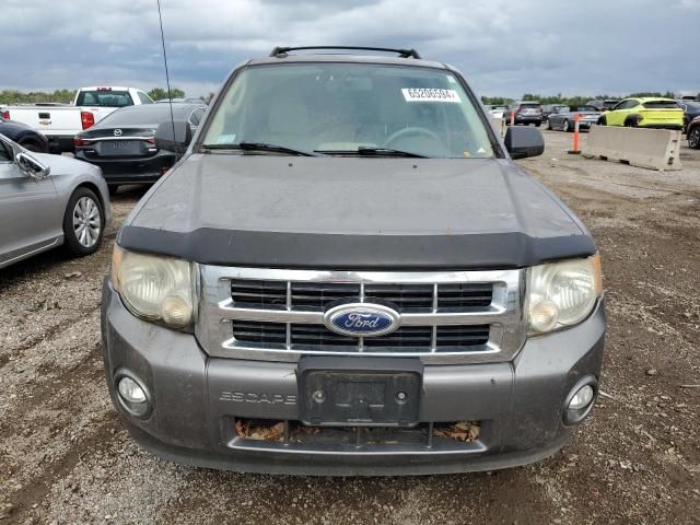 2010 Ford Escape XLT