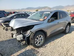 Salvage cars for sale from Copart Magna, UT: 2024 Ford Escape Active