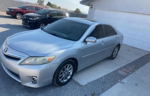 2010 Toyota Camry Hybrid