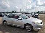 2009 Honda Accord LXP