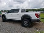 2022 Ford F150 Raptor