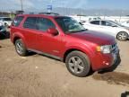 2008 Ford Escape Limited