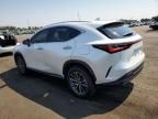 2023 Lexus NX 350H