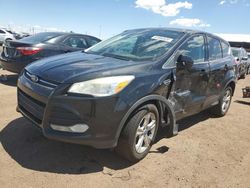 Ford salvage cars for sale: 2013 Ford Escape SE