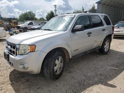 Salvage cars for sale from Copart Midway, FL: 2008 Ford Escape XLT